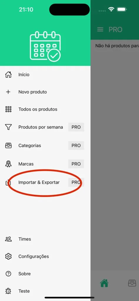 Opção Importar e Exportar no Menu